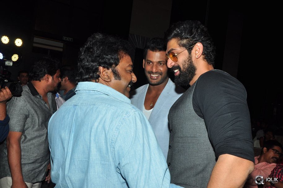 Rayudu-Movie-Audio-Launch